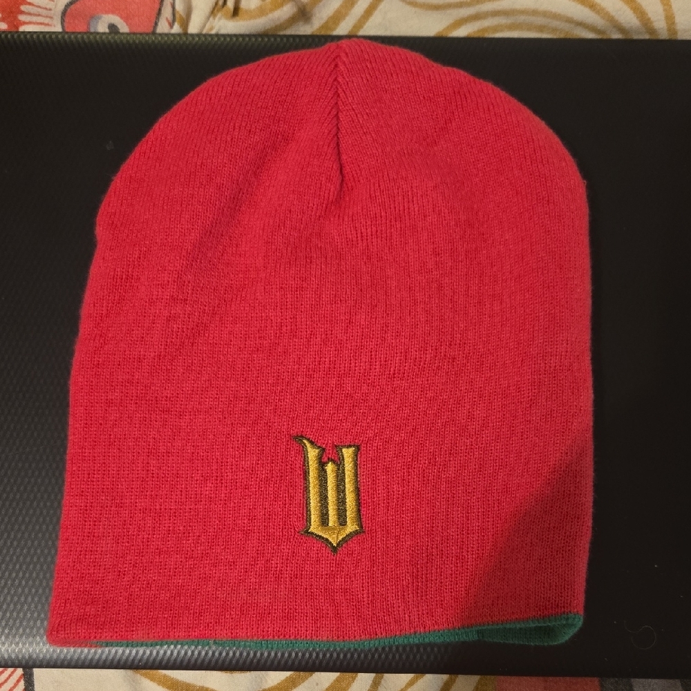 Wicked Movie Pink/Green Reversible Knit Beanie